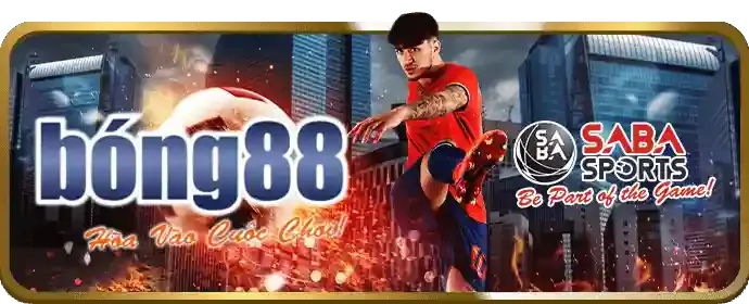 Phương thức thanh toán vf039